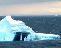 Study: Falling icebergs harming ecosystem
