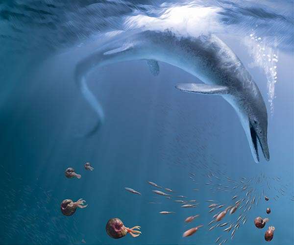Fossils show giant ichthyosaur could be one of largest-ever animals