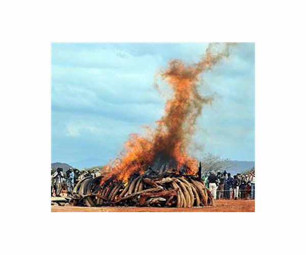 Ivory Coast no more