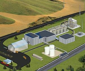 CO2 Emissions From Biomass Combustion