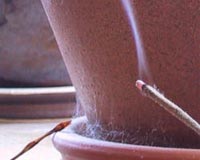 Incense Is Psychoactive: Scientists Identify The Biology Behind The Ceremony