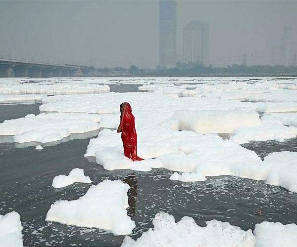 Beyond Pandora: Oscar films highlight man's destruction of our own planet