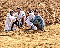 Sophisticated Forecasts Help India's Farmers Survive Patchy Monsoon