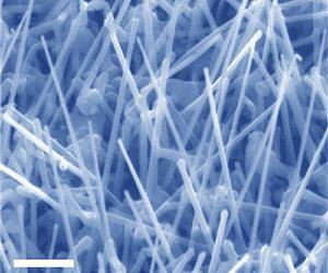 Tiny wires could usher new computer era