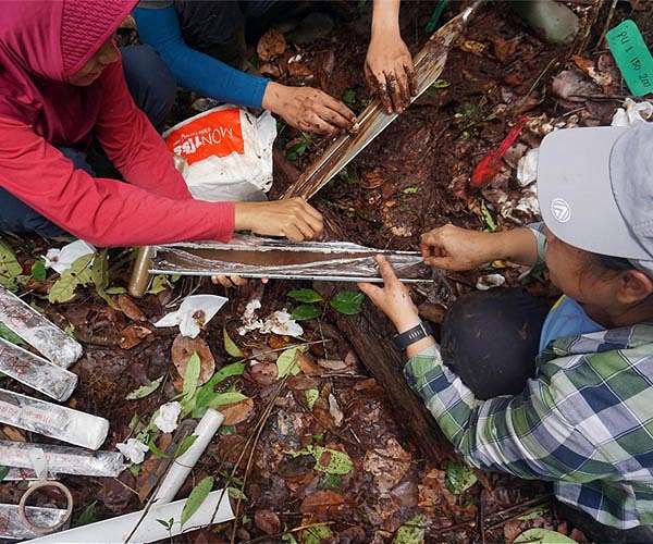 'Lungs of the Earth': the Indonesians fighting for peatland