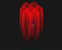 Revealing the remarkable nanostructure of human bone