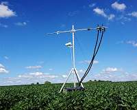 Scientists monitor crop photosynthesis, performance using invisible light