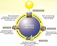 Shell And Codexis Deepen Collaboration On Next Gen Biofuel