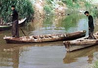 The Fertile Crescent, One Of The World's Most Important Wetlands, Devastated By Drainage