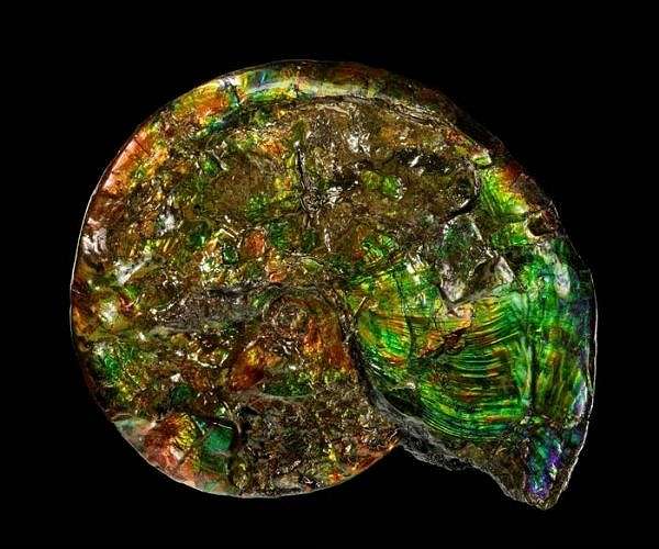 Leading scientists, philosophers identify nature's missing evolutionary law