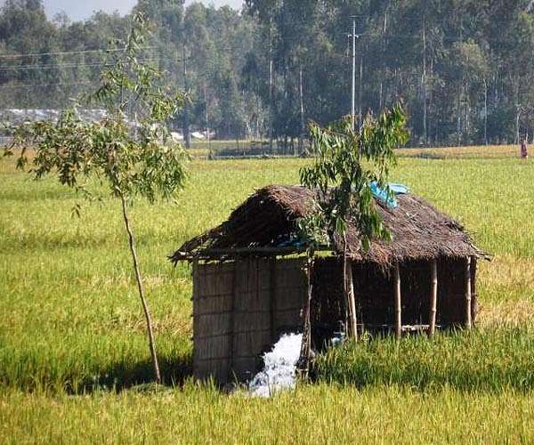 Millions of farmers replumb the world's largest delta