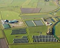 Germany gets economic lift with wind energy