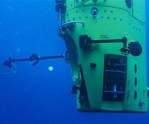 Vibrant Mix of Marine Life Found at Extreme Ocean Depths