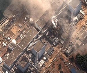 Japan nuke plant 'was crippled by 14-metre tsunami'