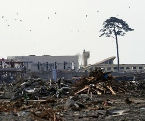 Powerful quake hits Japan, local tsunami alert