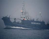 Sea Shepherd claims Japan whalers attacked its vessels