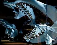 Giant prehistoric shark Megalodon disappeared earlier than thought