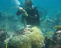 Impossible research produces 400-year El Nino record, revealing startling changes