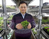 Understanding how plants withstand harsh conditions remains major research challenge