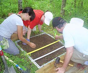 Final FACE harvest reveals increased soil carbon storage under elevated carbon dioxide