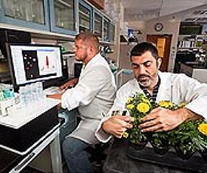 A Greener Way to Fertilize Nursery Crops
