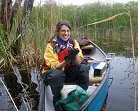 Beavers take a chunk out of nitrogen in Northeast rivers