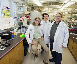 Biological Circuits for Synthetic Biology