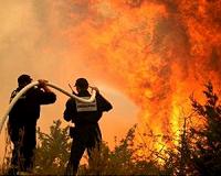 Croatia fights dozens of fires along Adriatic coast