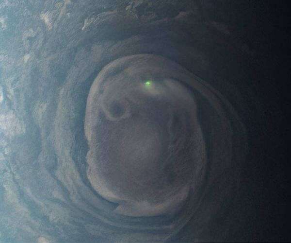 Jovian vortex hunter catalog reveals stunning insights into Jupiter's atmosphere