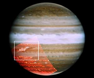 Stripes Are Back In Season On Jupiter