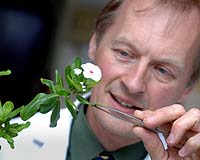 Plant DNA Libraries Provides Massive Boost to World's Researchers