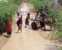 Bad weather hampers search for Kenyan landslide victims
