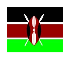 Businessman to fly African flags on space trip