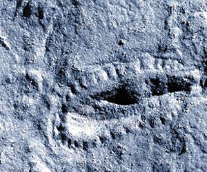 U Alberta resets date of earliest animal life by 30 million years
