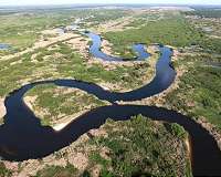 Finding order in chaos to help buffer against climate change