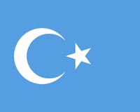 Sweden rejects Chinese Uighur man's asylum plea