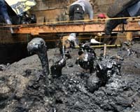 Scientists Dig Up Ice Age Bones In Mid Los Angeles