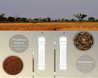 New system could remove two water pollutants from ag fields