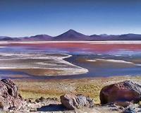 Nonphotosynthetic pigments could be biosignatures of life on other worlds