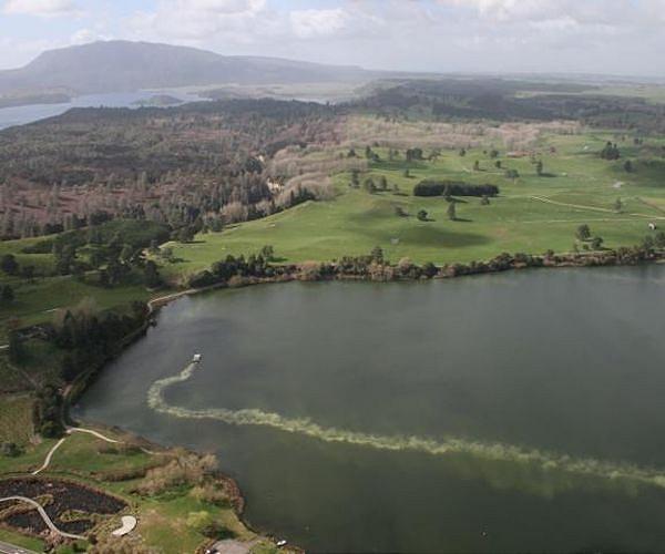 Dream New Zealand job becomes a flight of fancy