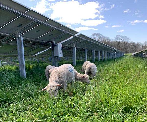 Rutgers selects SolarEdge for Agrivoltaics Research and Development