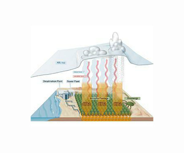 Extreme heat disrupts land's carbon absorption abilities