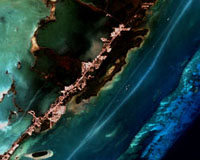 NASA Satellite Data Helps Assess the Health of Florida's Coral Reef