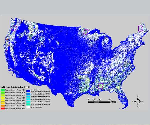 A new tool for deforestation detection