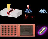 Lasers zap decontaminates from soil