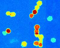 New solution for making 2-D nanomaterials