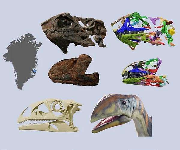 Researchers discover first dinosaur species that lived on Greenland 214 million years ago