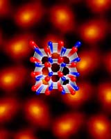 Discovering How To Focus On Tiniest Of The Very Small