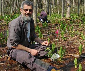 Loss of wild insects hurts crops around the world