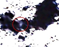 Researcher Delighted That LCROSS Confirms Lunar Prospector Findings